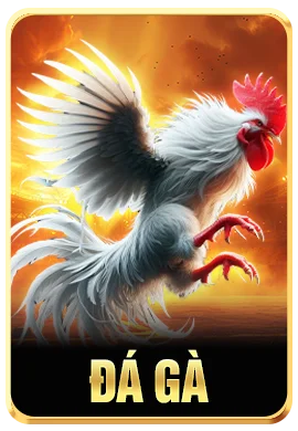 anh-con-king88-da-ga